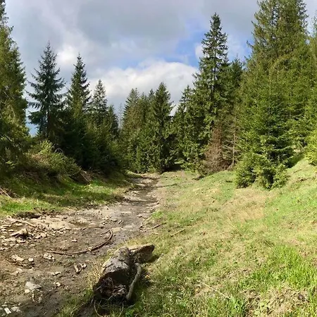 на зарінку Iszka